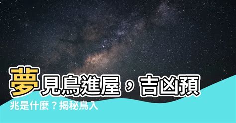 夢見鸚鵡入屋|【夢見鸚鵡入屋】夢見鸚鵡入屋？飛鳥報喜？還是凶兆降臨？ – 每。